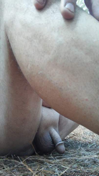 Adult image from santa