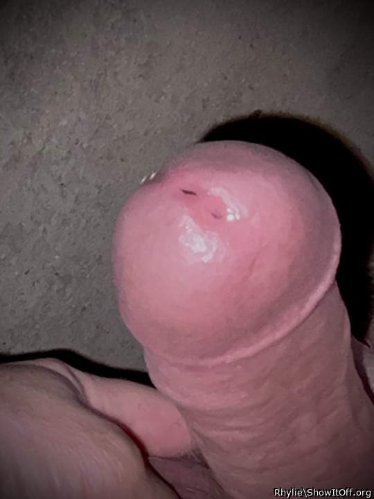 Adult image from Rhylie