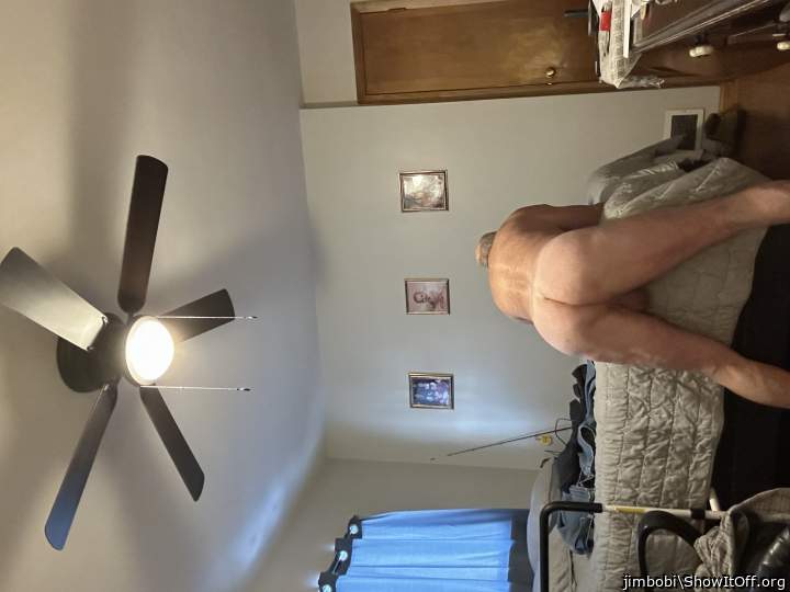 Adult image from jimbobi