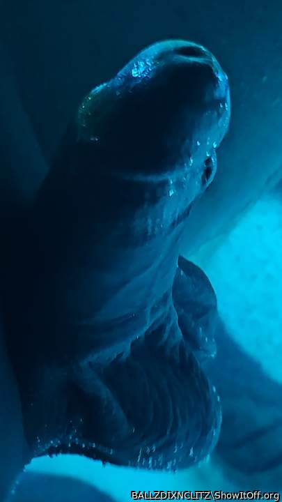 Adult image from BALLZDIXNCLITZ