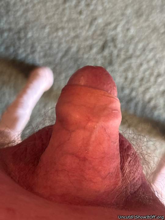 Adult image from Uncutdi