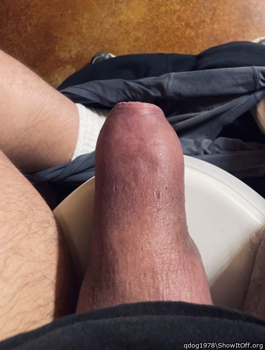 Adult image from qdog1978
