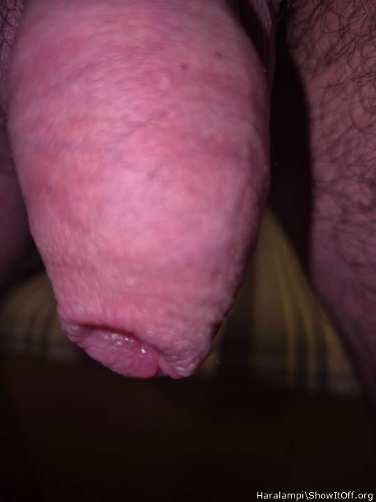 Adult image from Haralampi