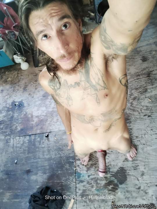 Adult image from NeonN8