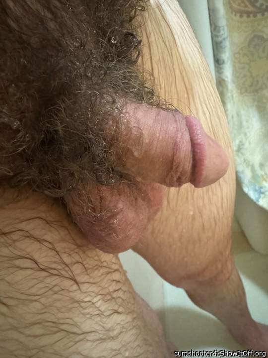 Freshly showered dick;)