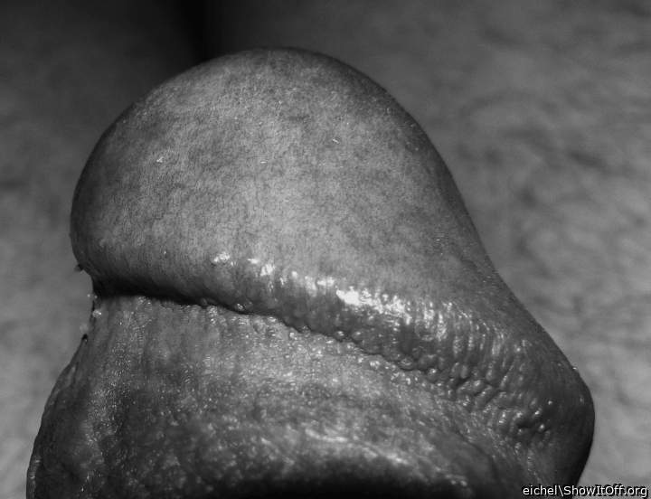 schon allein die Supersch�rfe/the this phantastic super focu