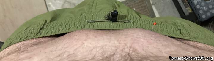 Adult image from Forrest