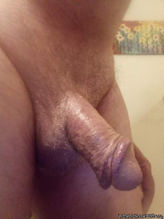 Adult image from Bithebi