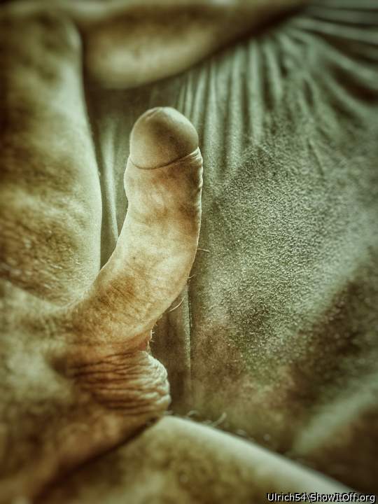 Adult image from Ulrich54