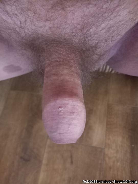 Adult image from Rob1988farmboy