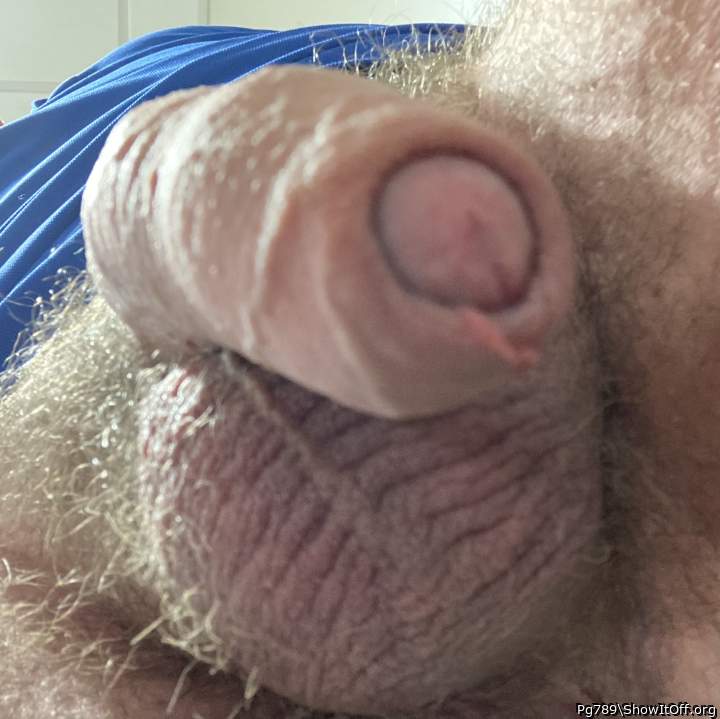 Tasty-looking, hooded, hairy cock--sexy balls!