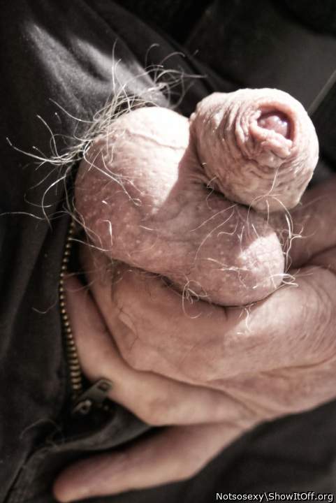 very exciting, tight balls and a wrinkled foreskin covering 