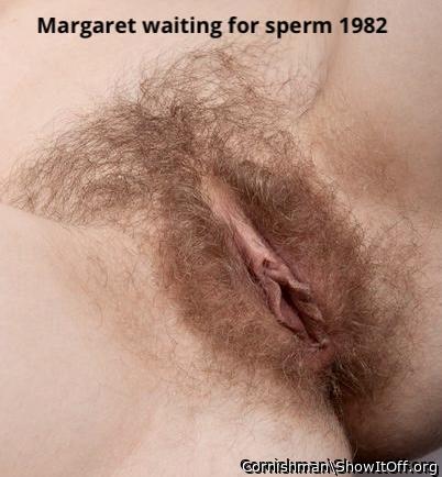Adult image from Cornishman