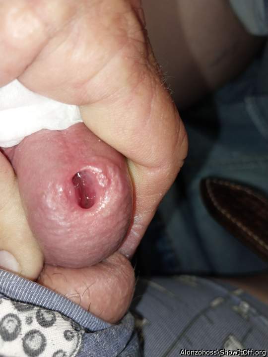 Adult image from Alonzohoss