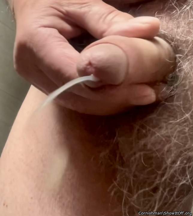 Adult image from Cornishman