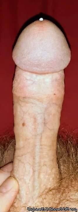 Dam good looking cock 😛