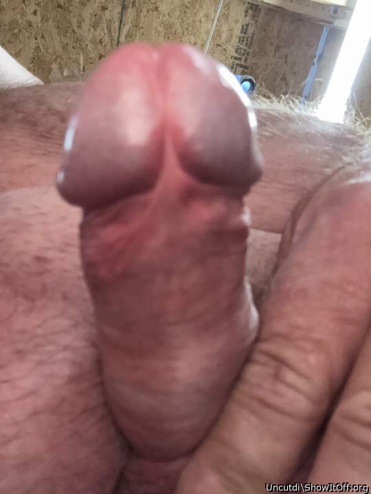 Adult image from Uncutdi