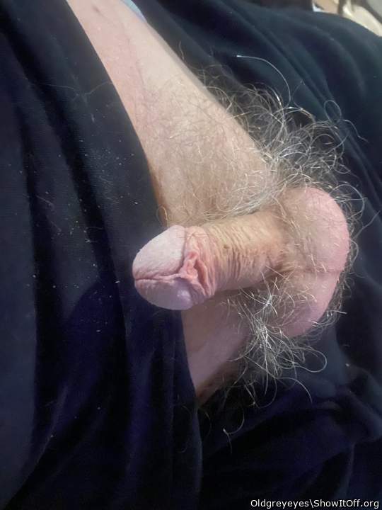 Adult image from Oldgreyeyes