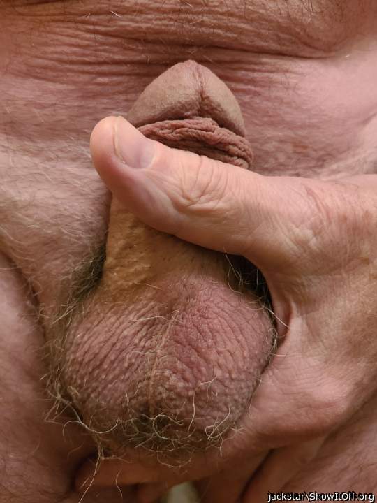 Adult image from jackstar