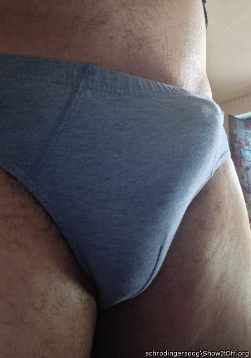 Adult image from schrodingersdog