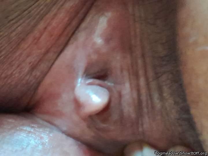 Adult image from Bogmeadow