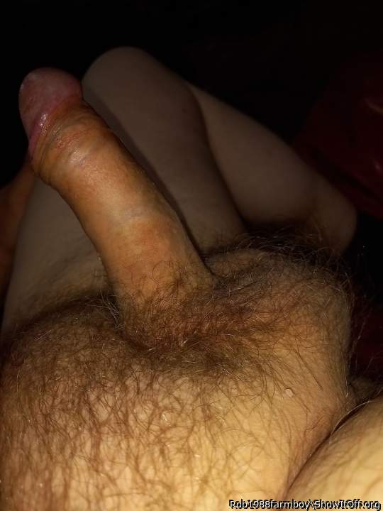 Adult image from Rob1988farmboy