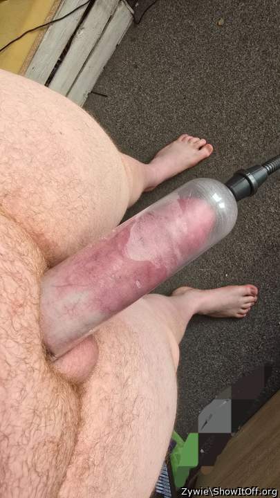 Adult image from Zywie