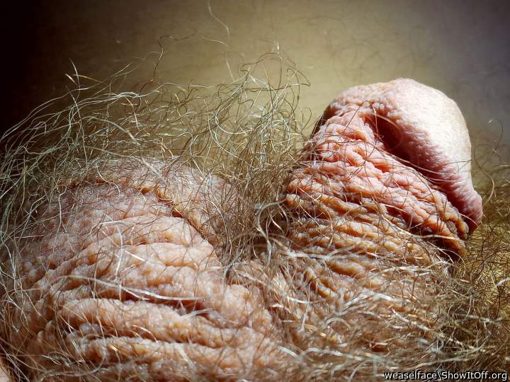 Adult image from weaselface