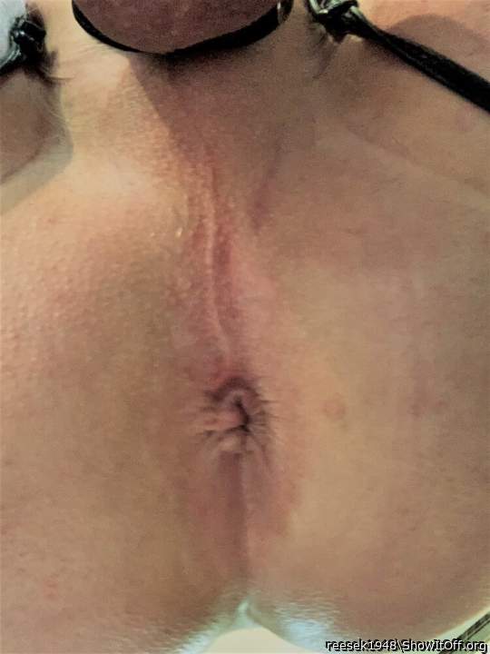 Adult image from reesek1948