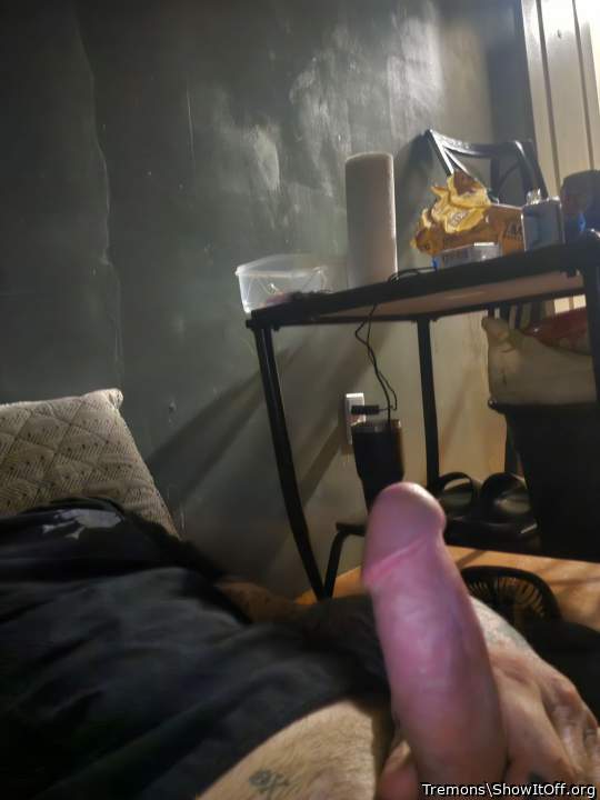 Adult image from Tremons