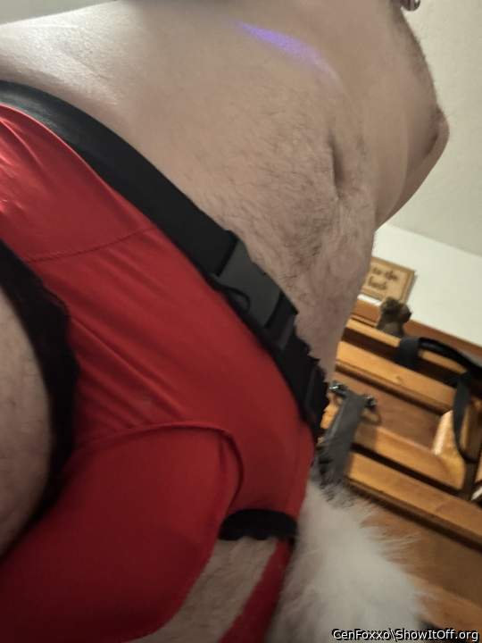 Adult image from CenFoxxo