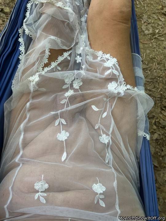 Adult image from Moench