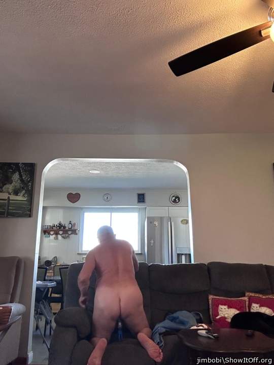 Adult image from jimbobi