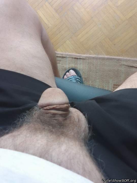 Adult image from Dulle