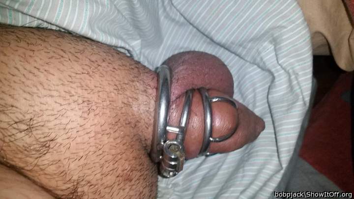 Morning wood, well contained.