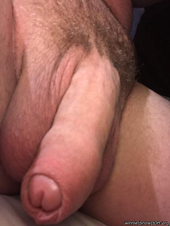 nice long penis great size  