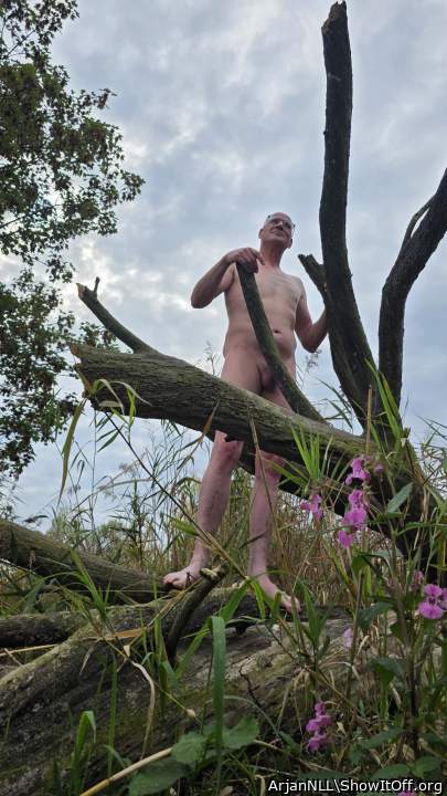 Adult image from ArjanNLL