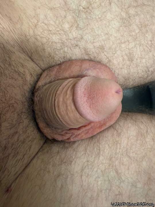 Adult image from La32HT