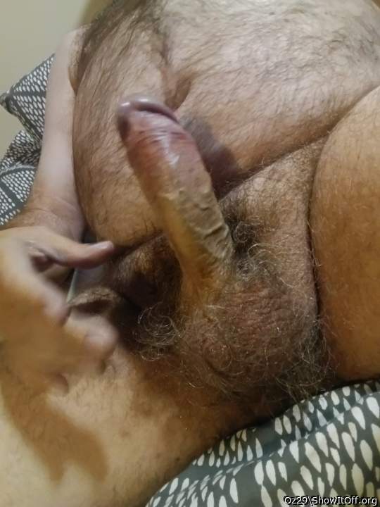 Adult image from Oz29
