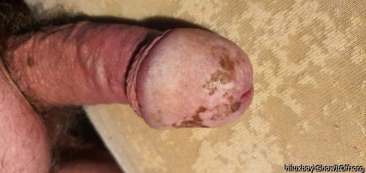 Adult image from hiluxboy