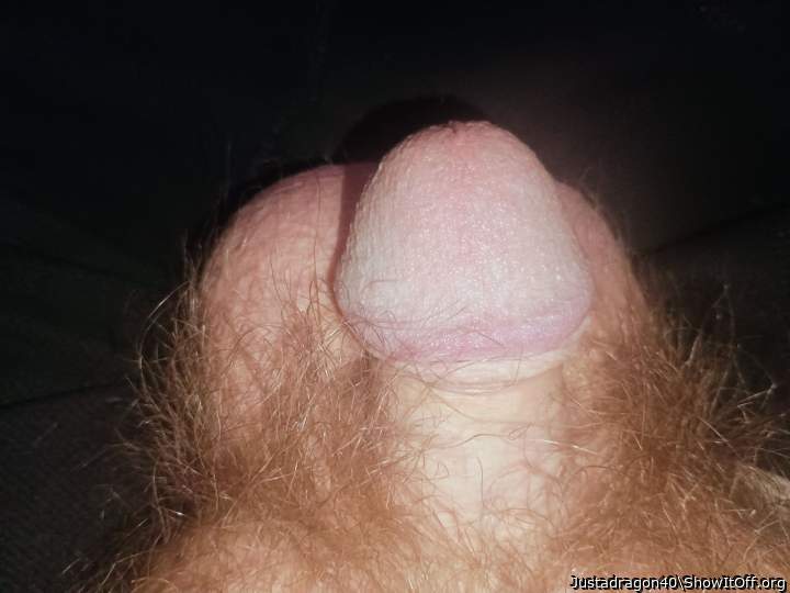 Adult image from Justadragon40