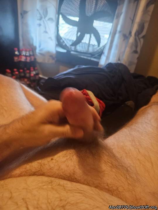 Adult image from Abcd8776