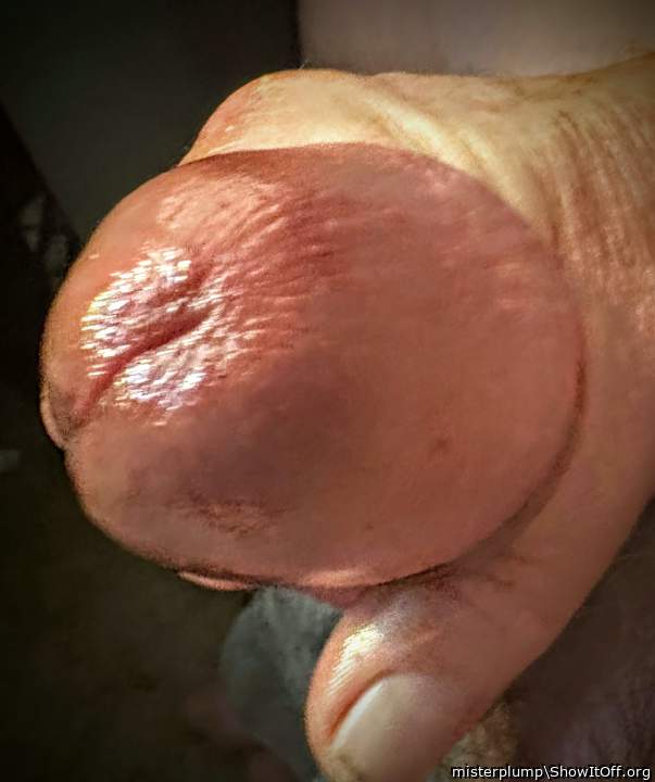 Adult image from misterplump