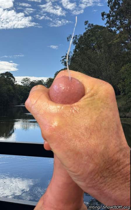 Adult image from mtingi