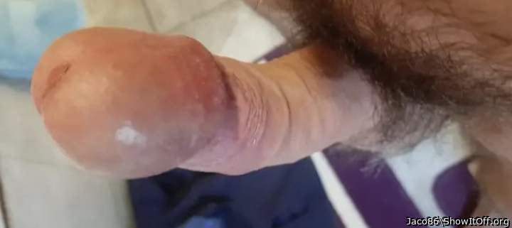 Adult image from Jaco86