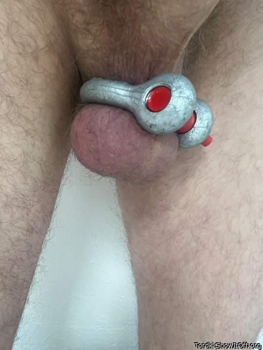 Adult image from Tordk