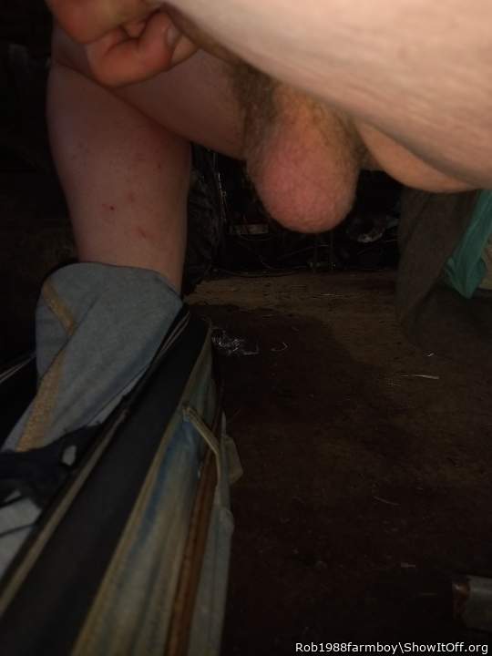 Adult image from Rob1988farmboy