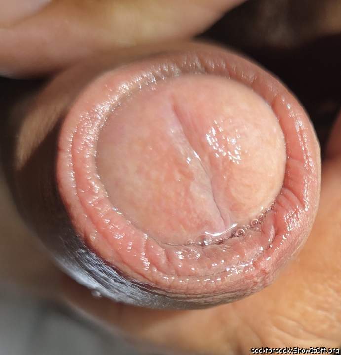 Adult image from cockforcock