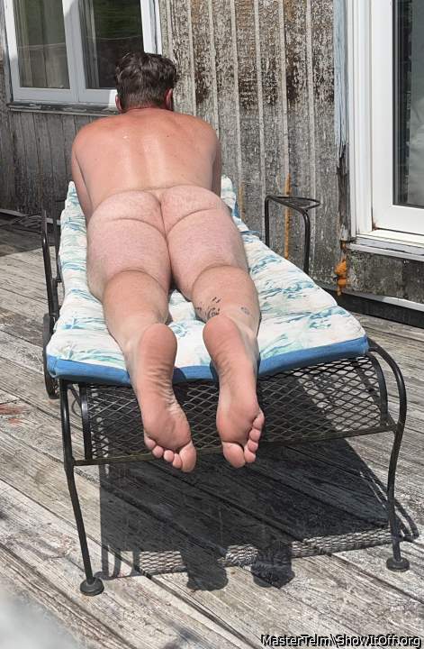 Adult image from MasterTelm