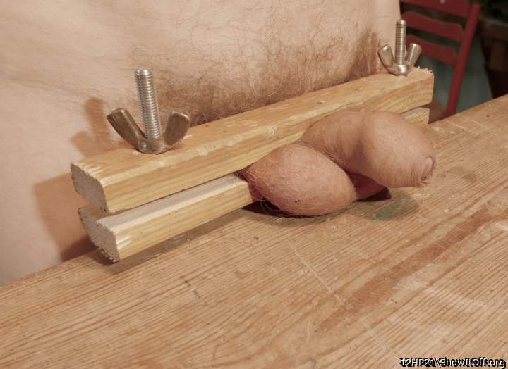 Adult image from 12HP21